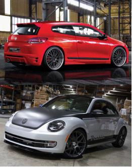 尚酷、甲殼蟲