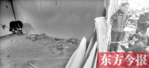 12月4日，鄭州市未來路與隴海路交叉口西側(cè)，執(zhí)法人員用吹管麻醉針對付一只藏獒