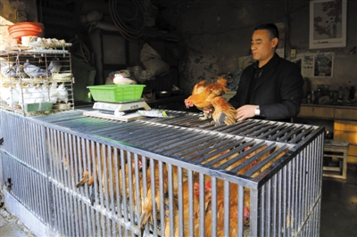 南京另一家農(nóng)貿(mào)市場(chǎng)內(nèi)待售的活雞。因南京出現(xiàn)H7N9禽流病例，買活雞的顧客減少。