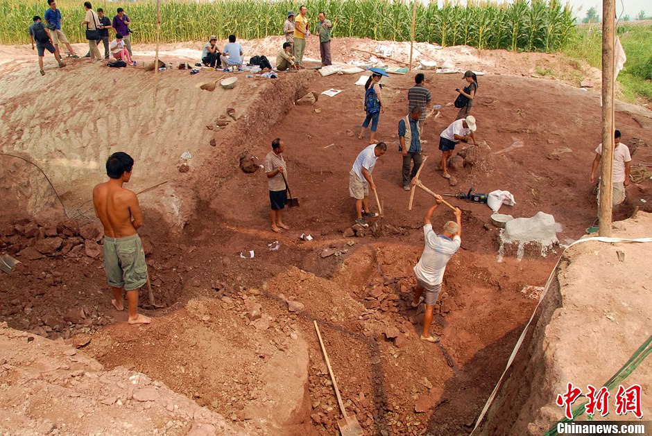 恐龍化石發(fā)掘現(xiàn)場(chǎng)。