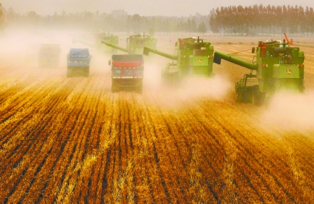 田里，一臺(tái)臺(tái)收割機(jī)唱著豐收歌。