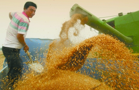 心情喜悅麥龍舞。