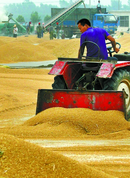 精心晾曬，散倉入庫。