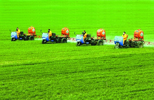 車載噴霧機(jī)奔駛在萬畝高產(chǎn)田里。