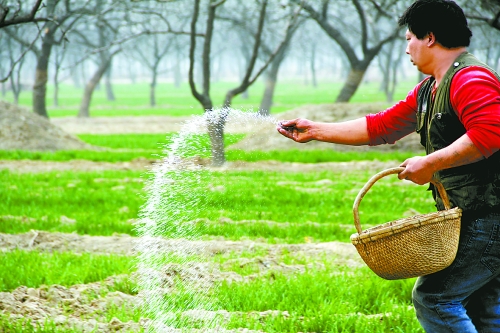 3月18日，內(nèi)黃縣城關(guān)鎮(zhèn)農(nóng)民在給小麥?zhǔn)┓?。眼下正是冬小麥返青的關(guān)鍵時期，內(nèi)黃縣廣大農(nóng)民積極開展以澆水