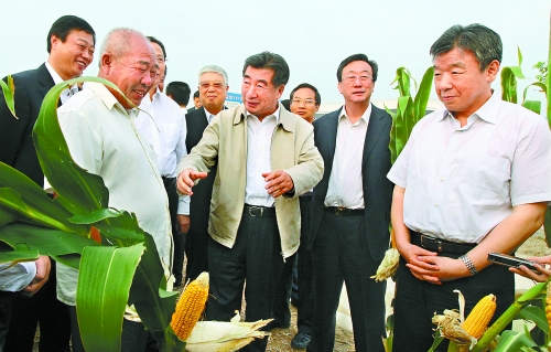 圖為回良玉在鄧州市腰店鄉(xiāng)草寺村視察萬(wàn)畝玉米高產(chǎn)示范方。