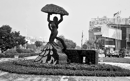 8月28日，南陽街頭繁花似錦，市民宛若行走在花海之中。