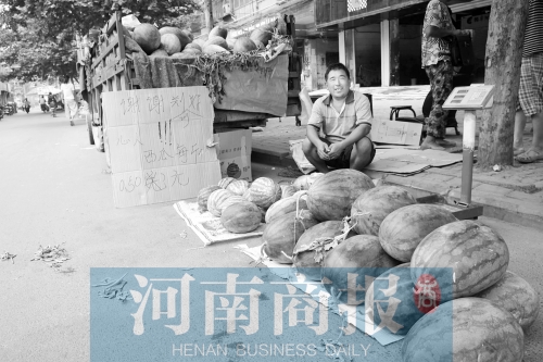 開(kāi)封瓜農(nóng)為感謝鄭州好心人 西瓜每斤5毛錢(qián)
