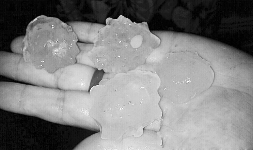 昨天凌晨，三門峽下起了冰雹，最大直徑近1厘米 微博截圖