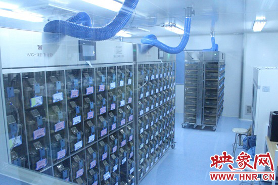 “鼠村”里每一個(gè)籠子是一家?！按濉崩镒≈?萬只左右的小鼠