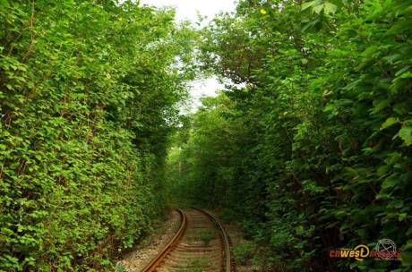 西安現“小清新”鐵路