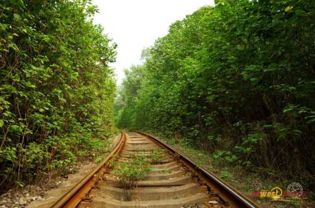 西安現“小清新”鐵路