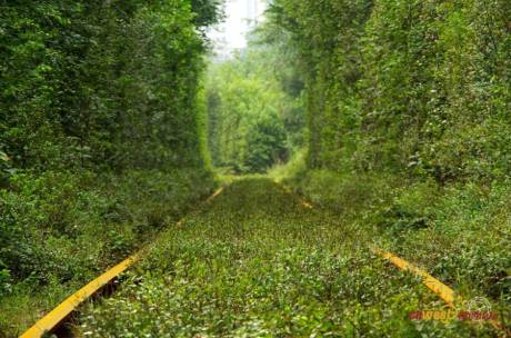 西安現“小清新”鐵路