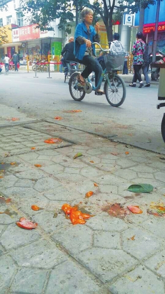 爛了一地的柿子影響市容，還常?；谷?。