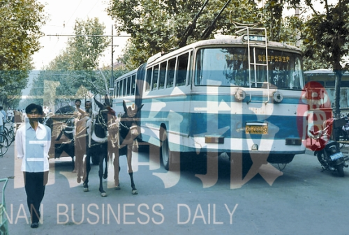 當(dāng)年的伏牛路，驢車和公交車并行