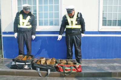 民警查獲的乘客行李包中，裝的全是獼猴。