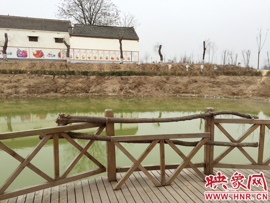 護(hù)欄損毀的地方，已經(jīng)被兩根樹(shù)干擋住。