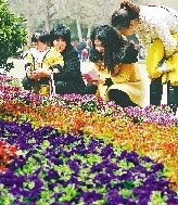 近距離才能拍得更真切。