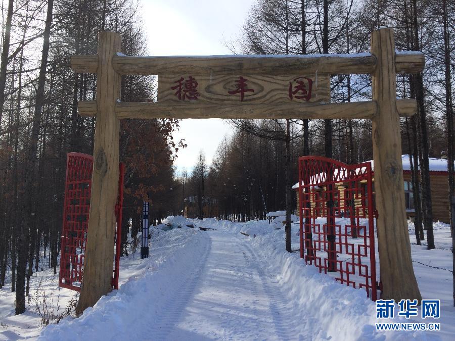 北山一隅的穗豐園（2013年12月8日攝）。新華社記者程子龍攝