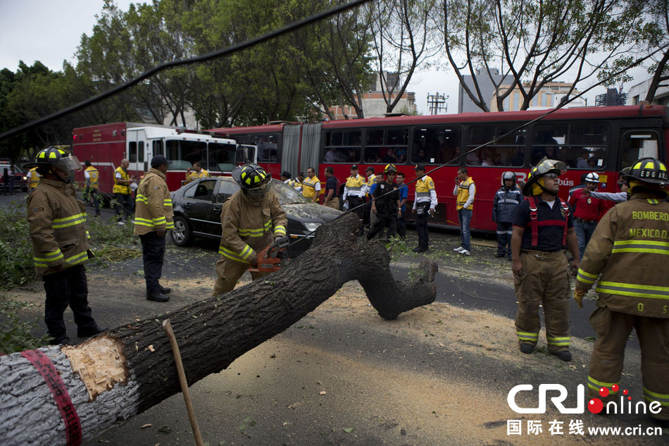 　當(dāng)?shù)貢r(shí)間2014年5月8日，墨西哥墨西哥城，消防人員正在切割一棵倒下的樹(shù)?！? width=