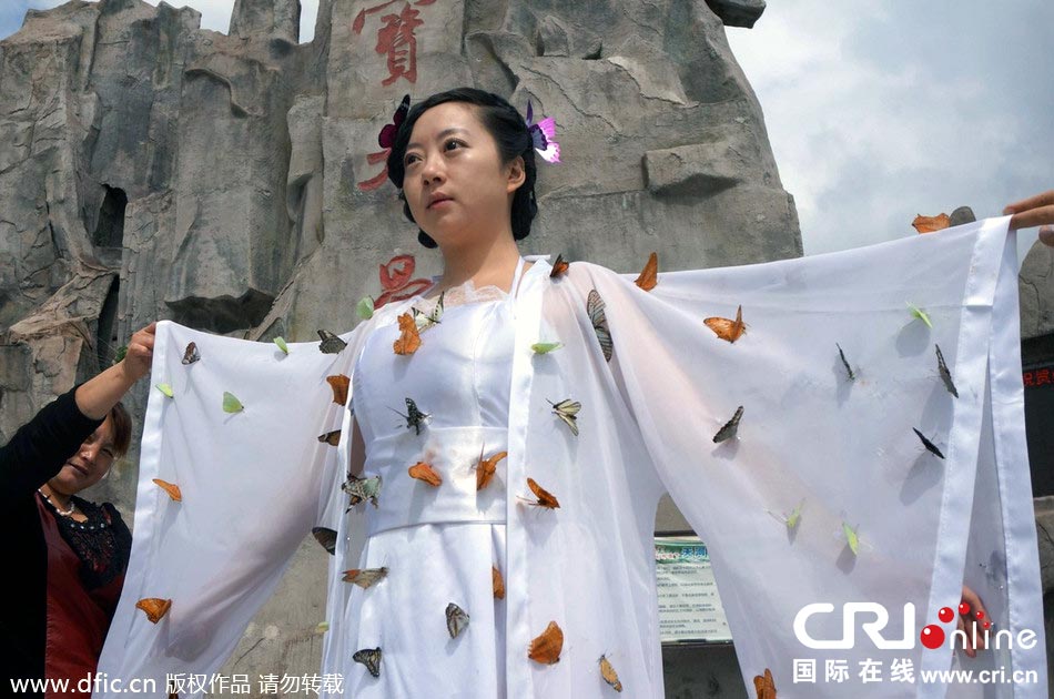 “蝴蝶仙子”身穿上百只剛剛扎死的蝴蝶。圖片來(lái)源：老祝/東方IC