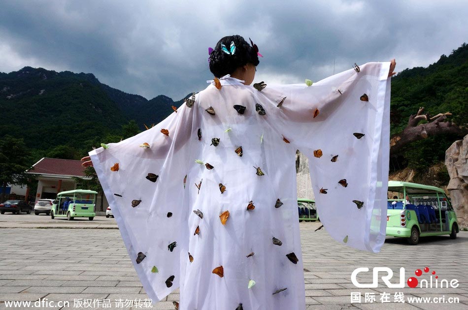 “蝴蝶仙子”身穿上百只剛剛扎死的蝴蝶。圖片來(lái)源：老祝/東方IC