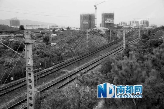 　東源縣法院院長(zhǎng)被火車(chē)撞亡事發(fā)地段。