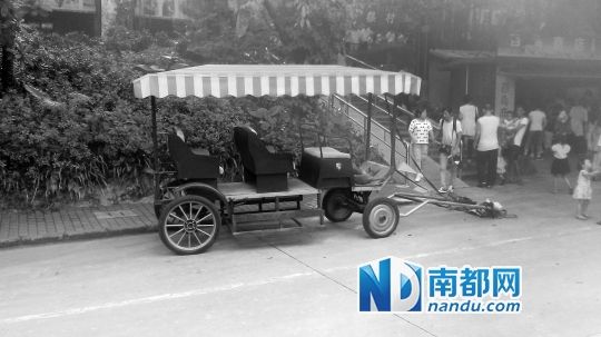 園方則稱解剖后發(fā)現(xiàn)馬死于心臟衰竭，“與累無(wú)關(guān)”。