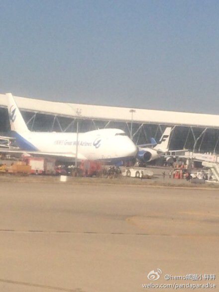圖說：發(fā)生事故的飛機(jī)。圖片來源：新浪微博網(wǎng)友圖（請(qǐng)私信“新民晚報(bào)新民網(wǎng)”以奉稿酬）
