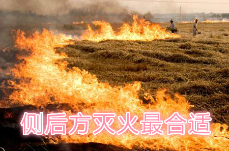 不要在風(fēng)頭上打火：風(fēng)正大，火正旺，最容易傷人；