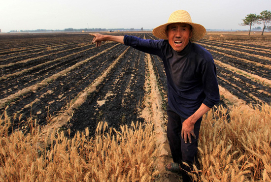 河南省滑縣、內(nèi)黃縣麥田著火，麥壟套種的花生、玉米苗也被烤焦，群眾損失慘重