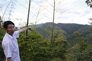 村民吳學田告訴記者，對面兩座山就是潘建友承包的部分山場 見習記者 邱一文 攝