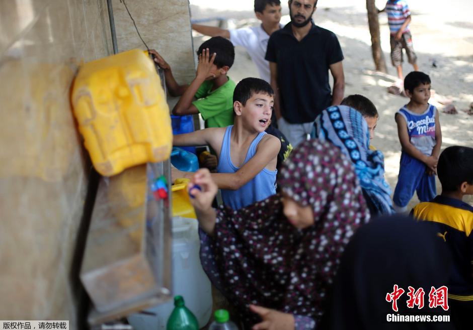 以色列對加沙發(fā)動地面進攻 民眾攜羊群逃難