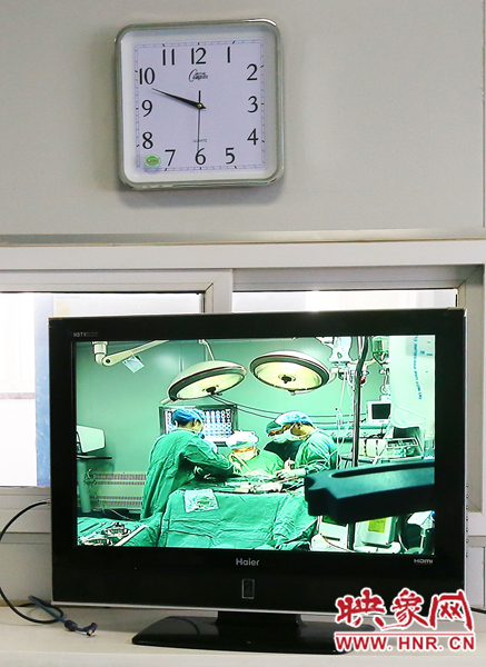 由于扎入大龍顱內(nèi)的針位置較深，所以經(jīng)過(guò)七次定位才取出,圖為監(jiān)視器中手術(shù)場(chǎng)景