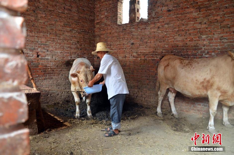 同時(shí)，地下水位的持續(xù)下降以及部分山泉水的干涸，已造成全縣2.85萬人和2000頭大牲畜出現(xiàn)飲水困難。