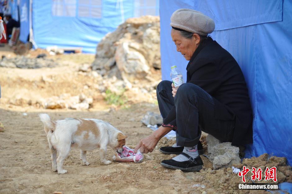 8月6日，一名老人將剛領(lǐng)到的礦泉水分給小狗。