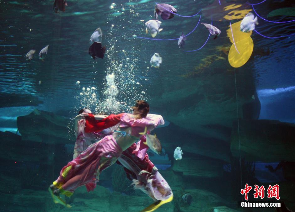 9月7日，在中秋節(jié)到來(lái)前一天，山東泉城海洋極地世界為游客帶來(lái)“嫦娥水中奔月”表演。