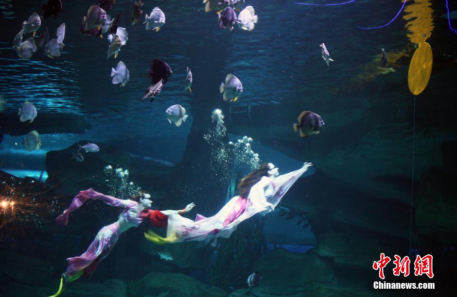 9月7日，在中秋節(jié)到來(lái)前一天，山東泉城海洋極地世界為游客帶來(lái)“嫦娥水中奔月”表演。
