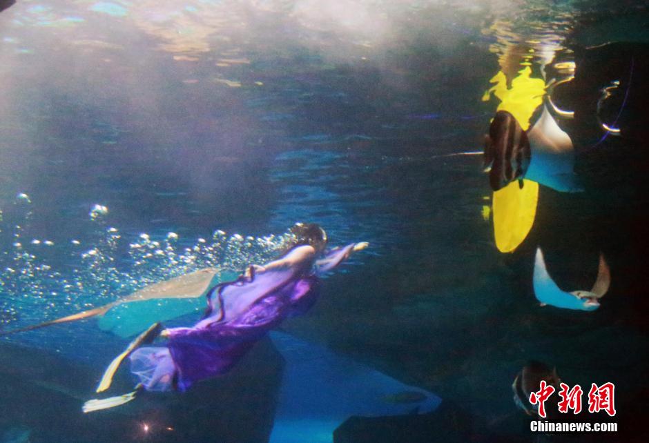 9月7日，在中秋節(jié)到來(lái)前一天，山東泉城海洋極地世界為游客帶來(lái)“嫦娥水中奔月”表演。
