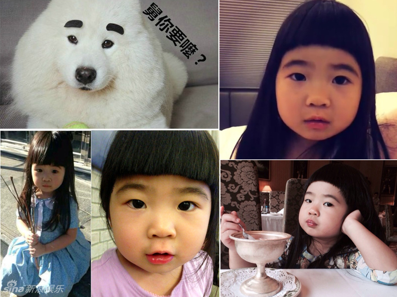 不小心就撞臉了！盤點動物界的明星相