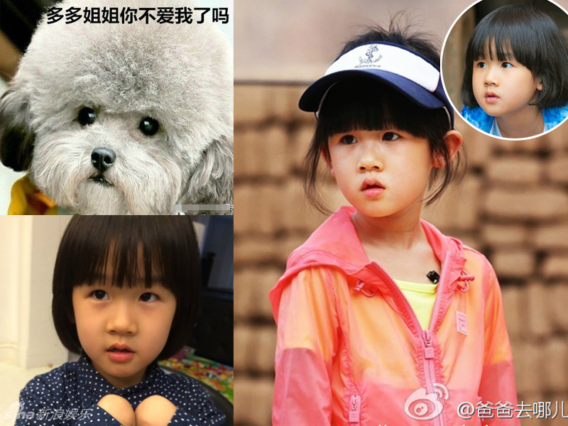 不小心就撞臉了！盤點動物界的明星相