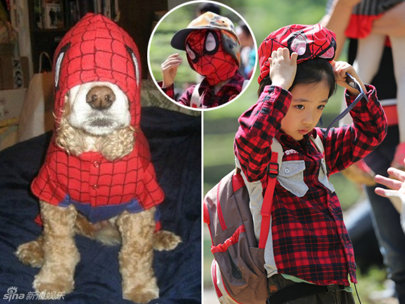 不小心就撞臉了！盤點動物界的明星相