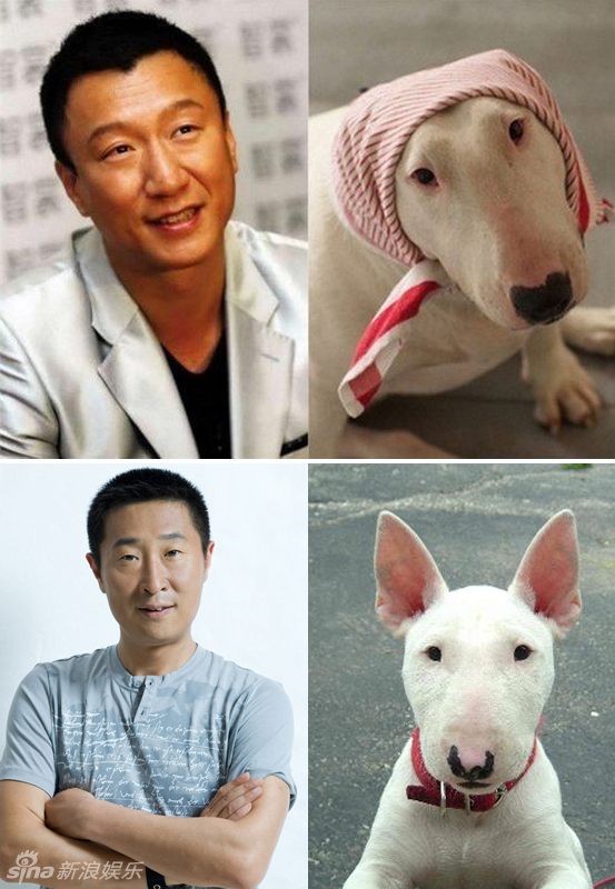 不小心就撞臉了！盤點動物界的明星相