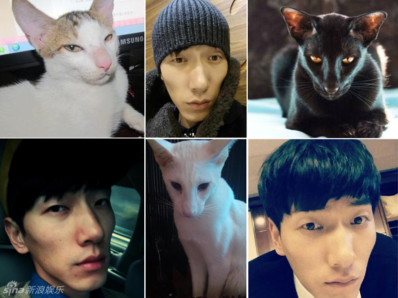 不小心就撞臉了！盤點動物界的明星相