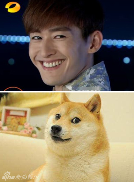 不小心就撞臉了！盤點動物界的明星相