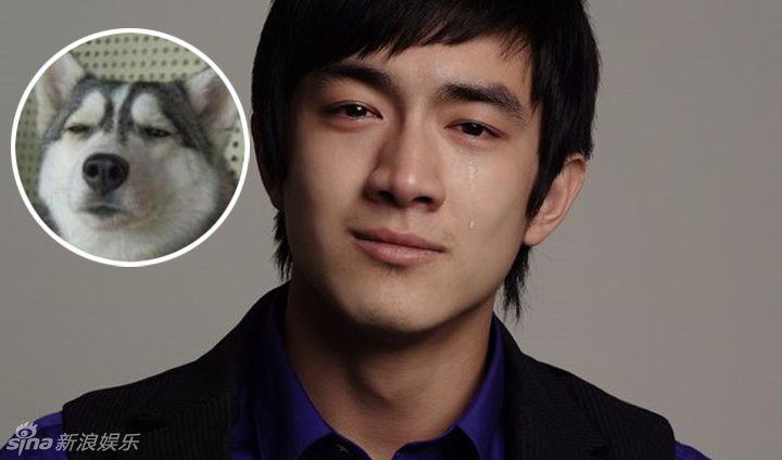 不小心就撞臉了！盤點動物界的明星相