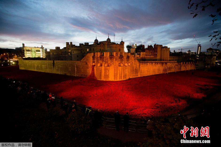 當(dāng)?shù)貢r間2014年11月10日，英國倫敦，倫敦塔周邊“種植”了888246朵陶瓷材質(zhì)的罌粟花，以此紀(jì)