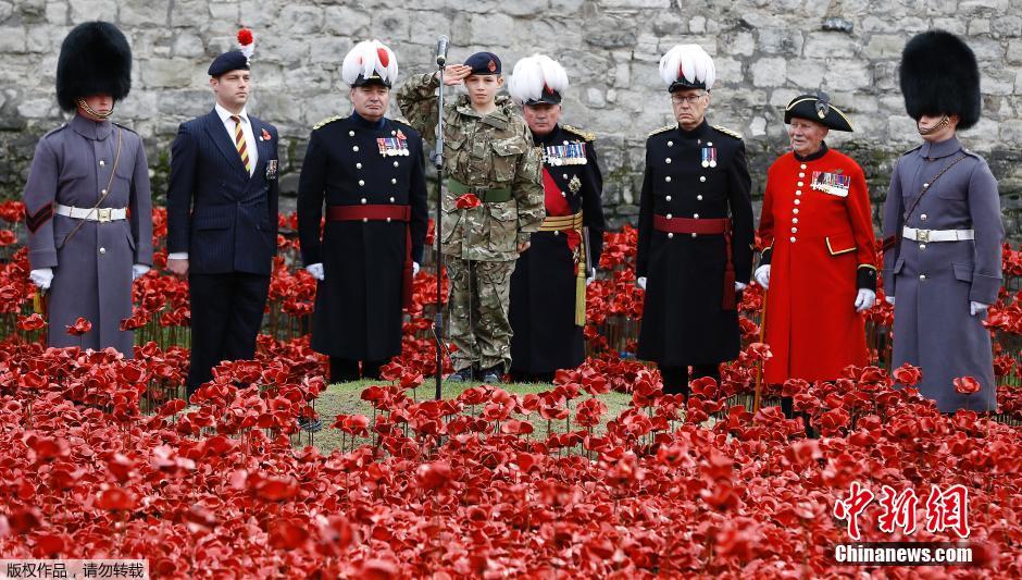 當(dāng)?shù)貢r間2014年11月10日，英國倫敦，倫敦塔周邊“種植”了888246朵陶瓷材質(zhì)的罌粟花，以此紀(jì)