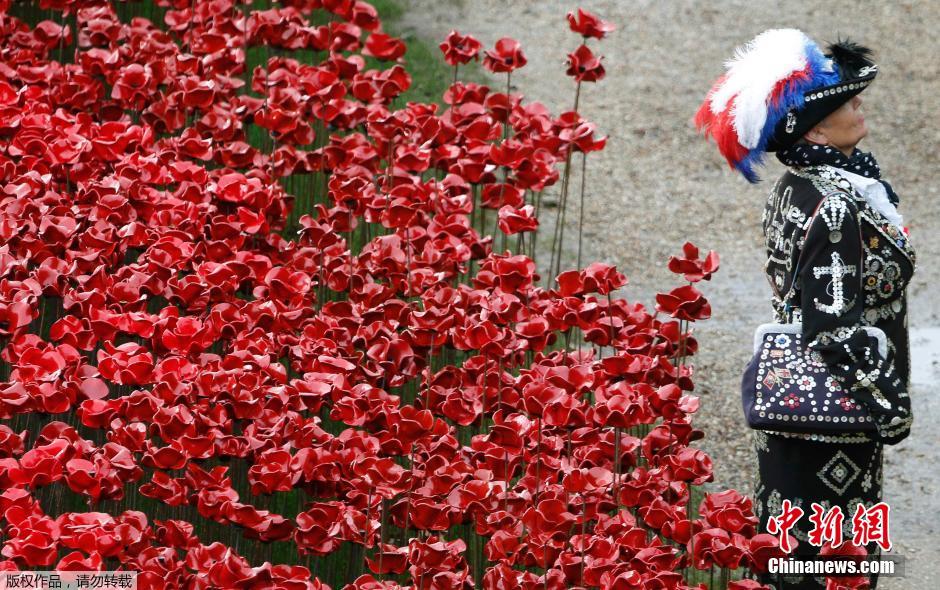 當(dāng)?shù)貢r間2014年11月10日，英國倫敦，倫敦塔周邊“種植”了888246朵陶瓷材質(zhì)的罌粟花，以此紀(jì)