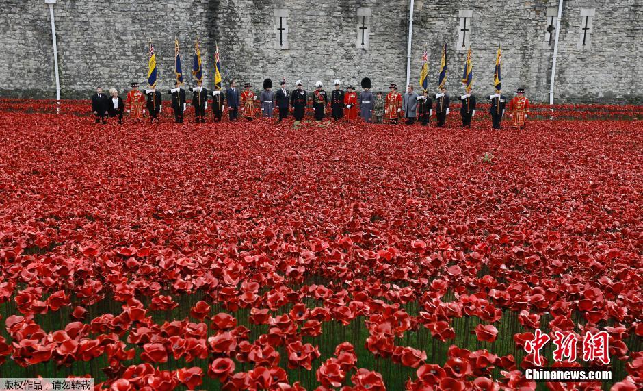 當(dāng)?shù)貢r間2014年11月10日，英國倫敦，倫敦塔周邊“種植”了888246朵陶瓷材質(zhì)的罌粟花，以此紀(jì)